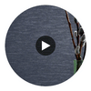 Tripoli Vinyl | Hollywood Wallcoverings Circular Swatch | Hollywood Wallcoverings
