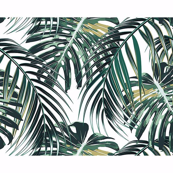 Tropical Leaves Wall Mural | Jeffrey Stevens - Image 1