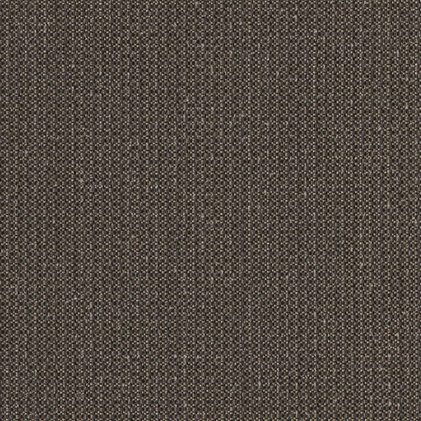 Tunitas Creek Driftwood | Hollywood Wallcoverings