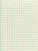 Turquoise on Tint