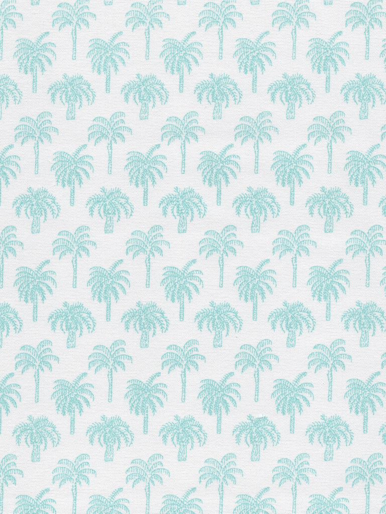Turquoise on White