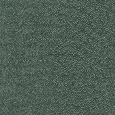 Tiburon Shagreen Hedge - Dark Green Commercial Wallcovering | Koroseal