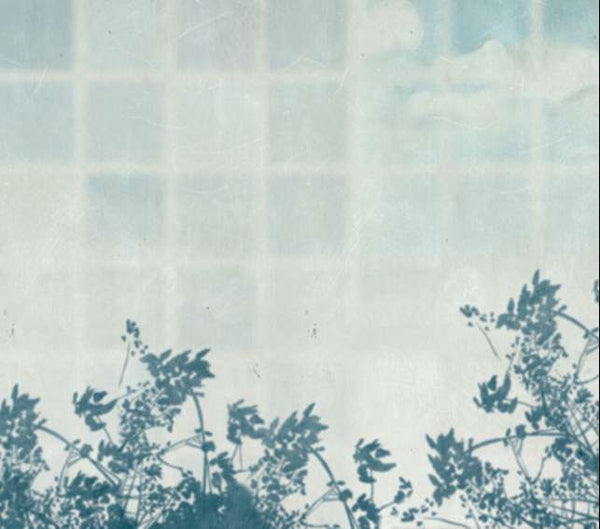 Umbra M2606-1 Wallcovering | Tres Tintas