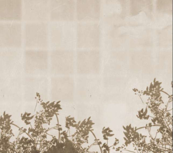 Umbra M2606-2 Wallcovering | Tres Tintas