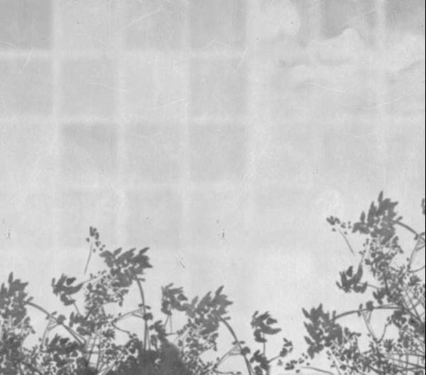 Umbra M2606-3 Wallcovering | Tres Tintas