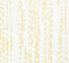 Vanilla on White