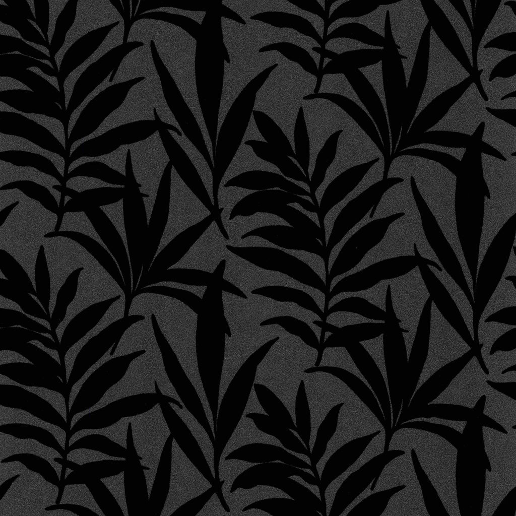 Verdi Ebony Black