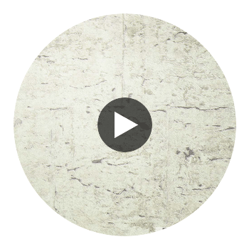 Verwood Type II Vinyl | Hollywood Wallcoverings Circular Swatch | Hollywood Wallcoverings