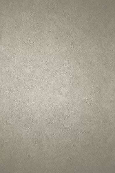 Mako Metallic Plain  Wallpaper | Osborne & Little Europe