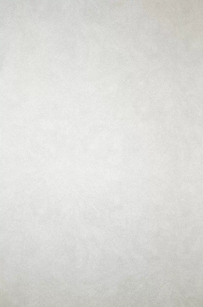 Mako Metallic Plain  Wallpaper | Osborne & Little Europe