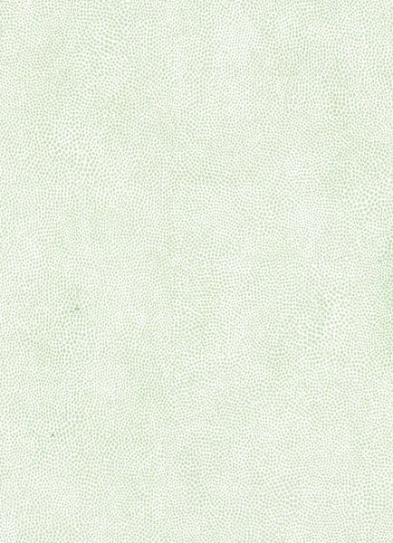 Mako Vinyl Light Green Wallpaper | Osborne & Little Europe