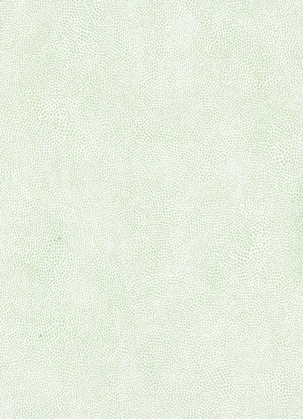 Mako Vinyl Light Green | Osborne & Little Europe