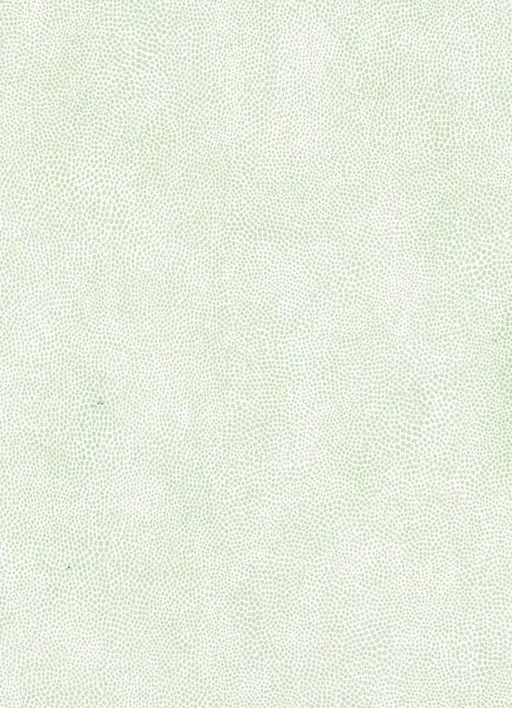 Mako Vinyl Light Green | Osborne & Little Europe