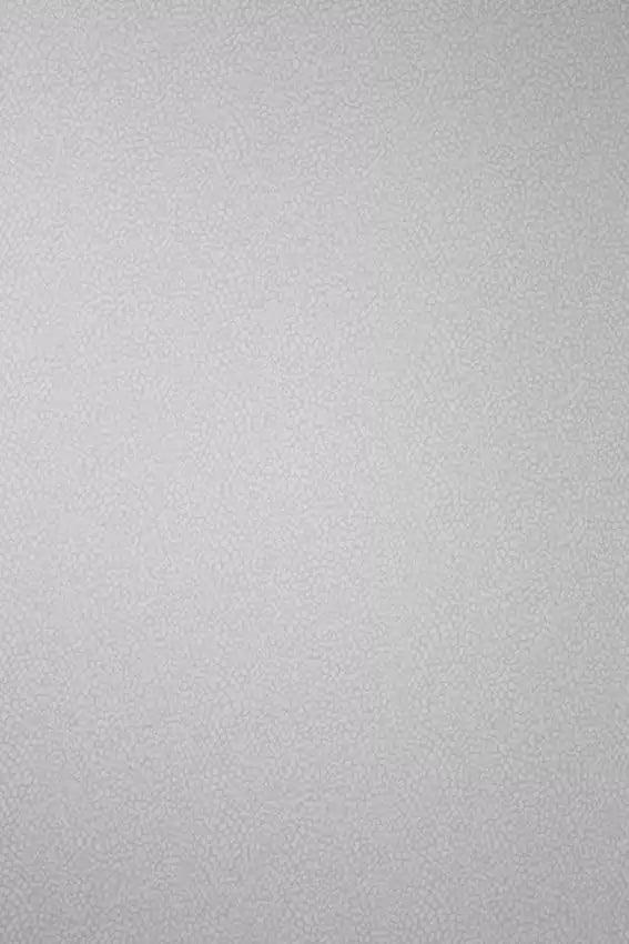Oriole, Colorway 03 Wallcoverings | Osborne & Little