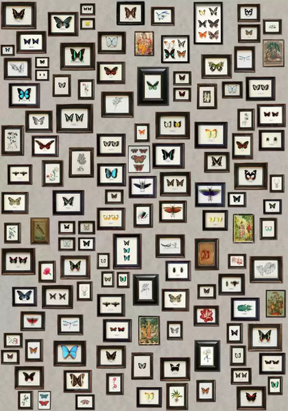 Narissa Novelty  Wallpaper | Osborne & Little Europe