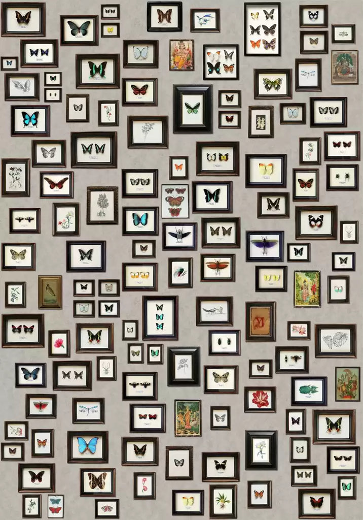 Narissa Novelty  Wallpaper | Osborne & Little Europe