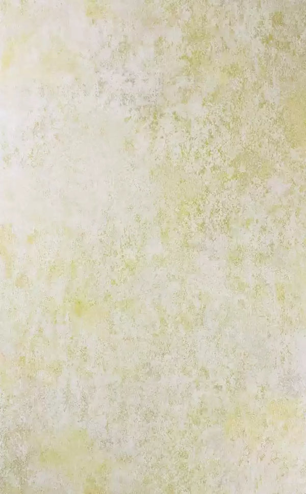 Fresco | Osborne & Little Europe