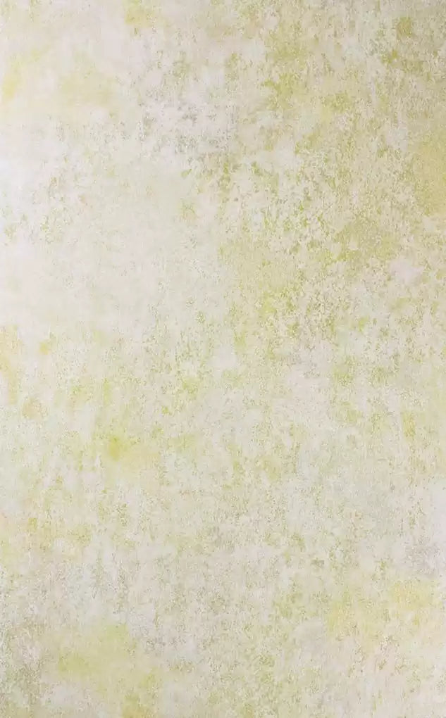Fresco | Osborne & Little Europe