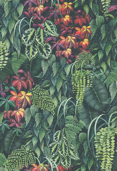 Green Wall  Wallpaper | Osborne & Little Europe