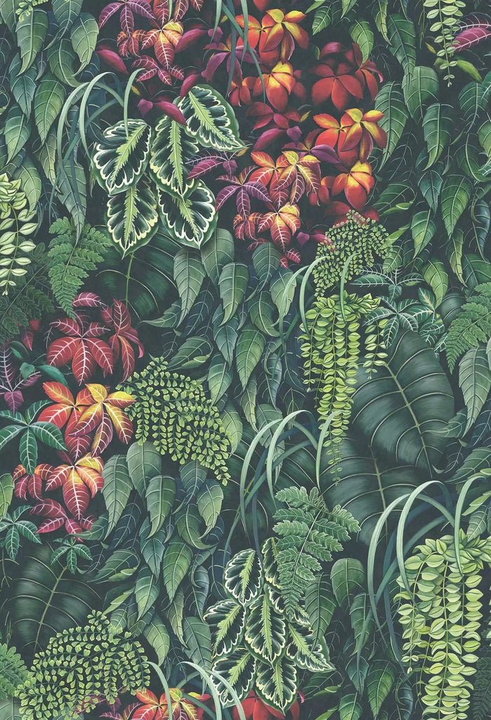 Green Wall  Wallpaper | Osborne & Little Europe