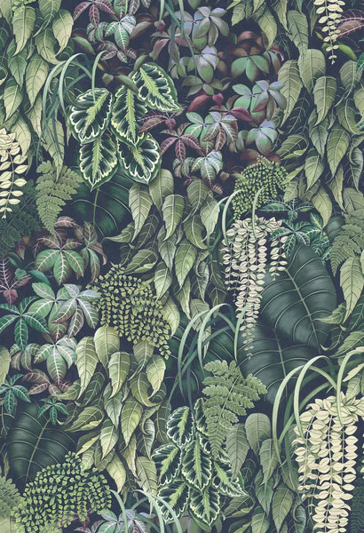 Green Wall  Wallpaper | Osborne & Little Europe
