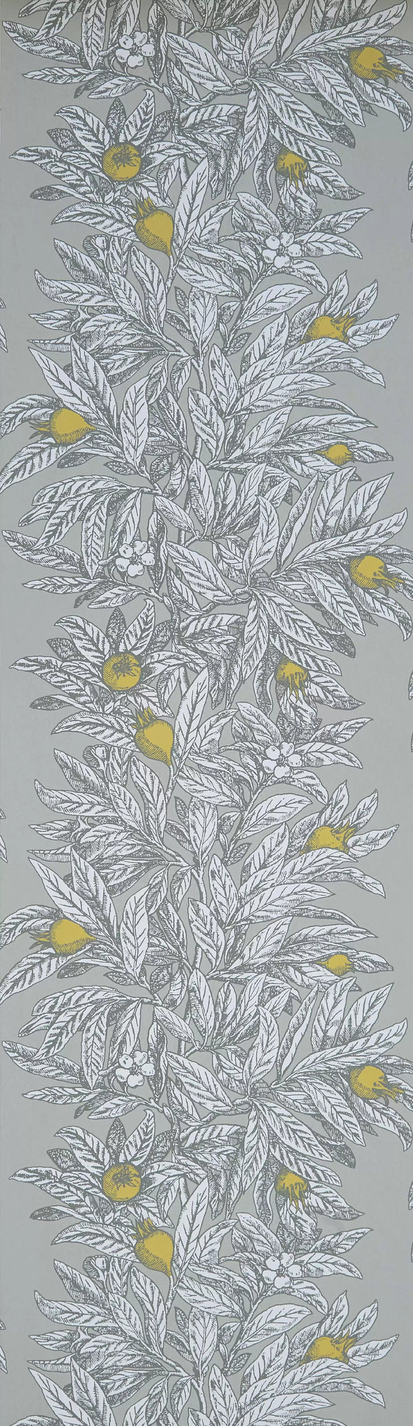 Medlar Grey | Osborne & Little Europe
