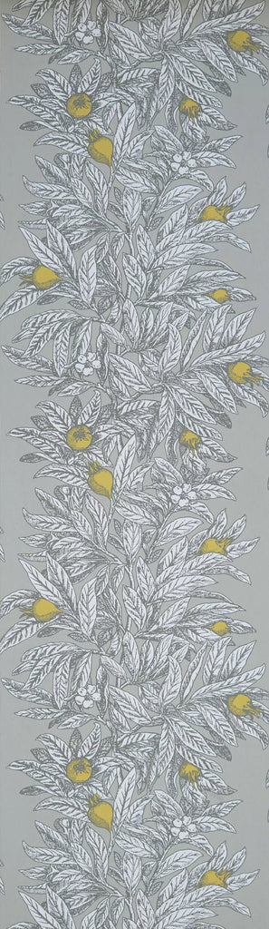 Medlar Grey | Osborne & Little Europe