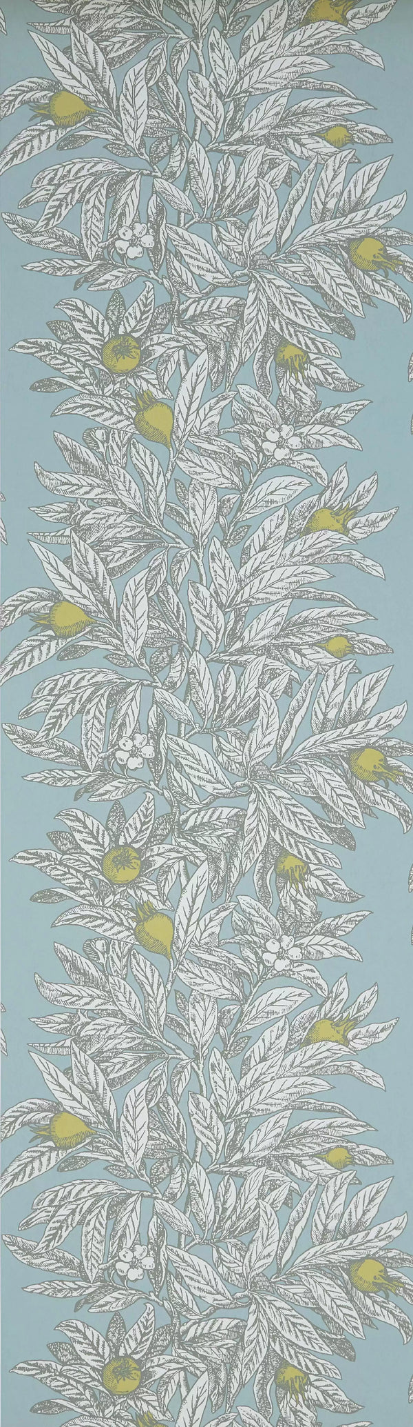 Medlar Blue | Osborne & Little Europe