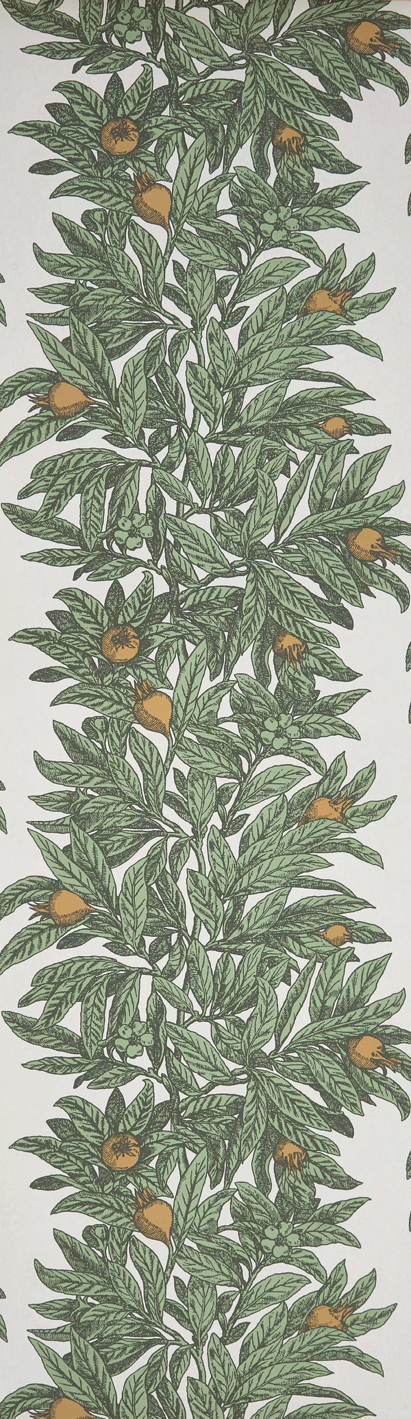 Medlar | Osborne & Little Europe
