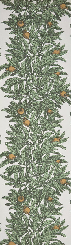 Medlar | Osborne & Little Europe