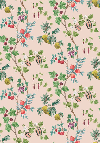 Orchard  Wallpaper | Osborne & Little Europe