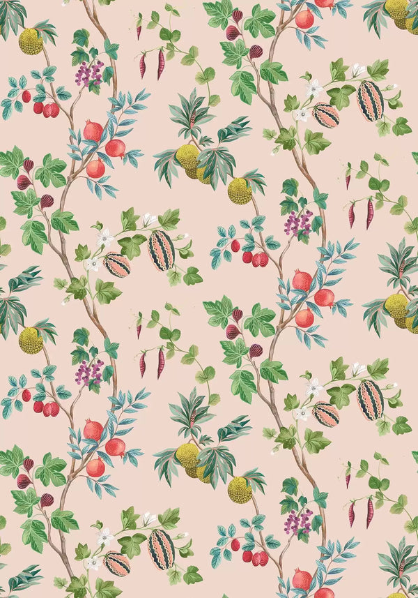Orchard | Osborne & Little Europe