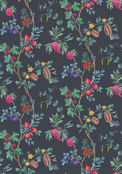 Orchard | Osborne & Little Europe