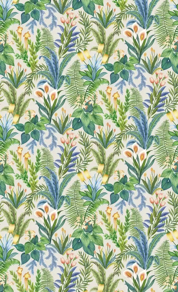 Calla Lily | Osborne & Little Europe