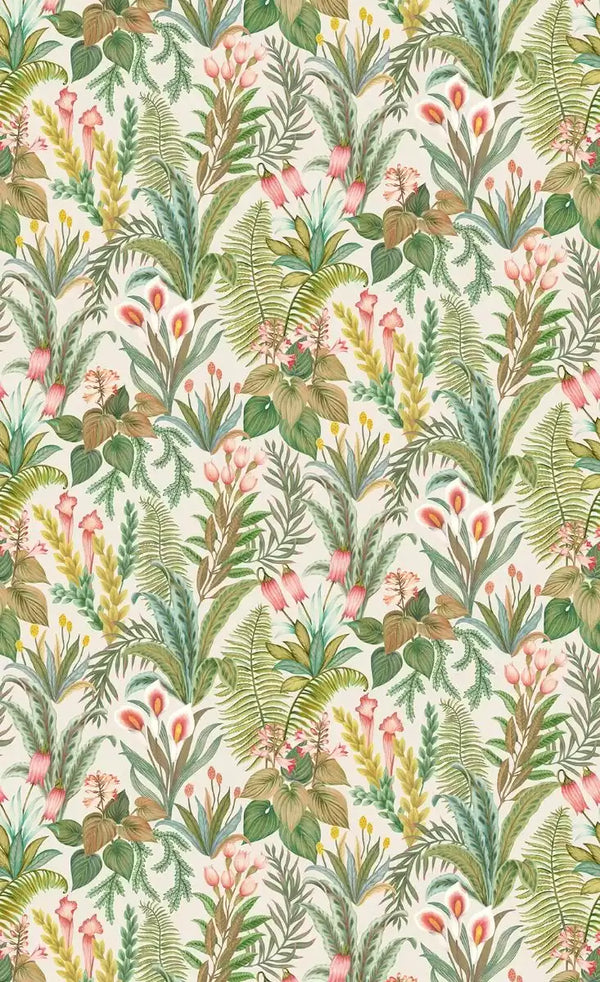 Calla Lily | Osborne & Little Europe