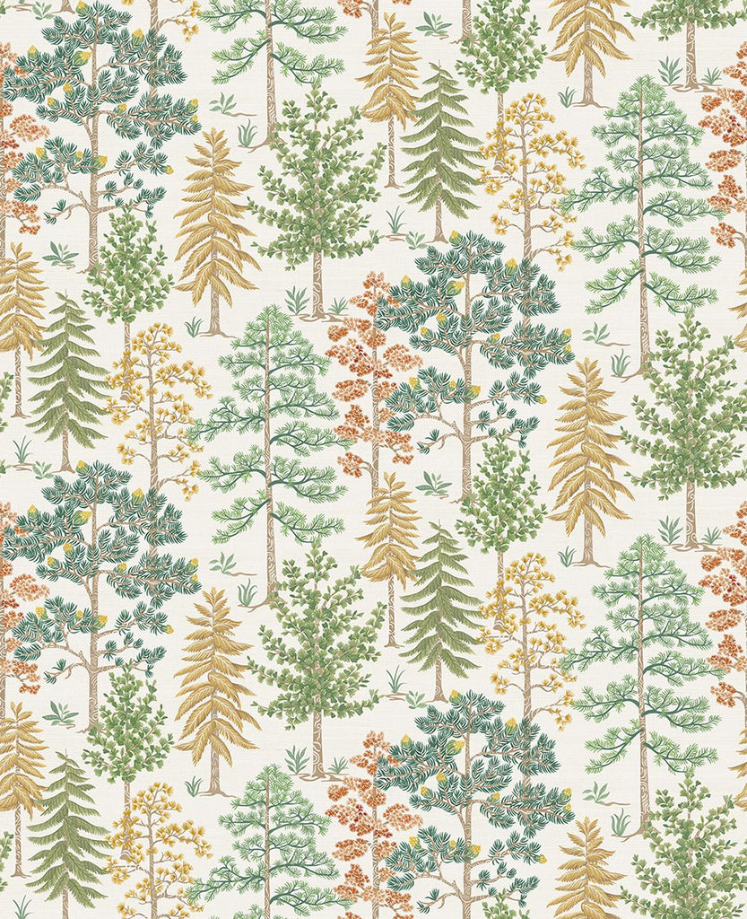 Vana Tree Ochre | Osborne & Little Europe
