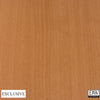 Biscay Bay Wam Wood Grain | Hollywood Wallcoverings