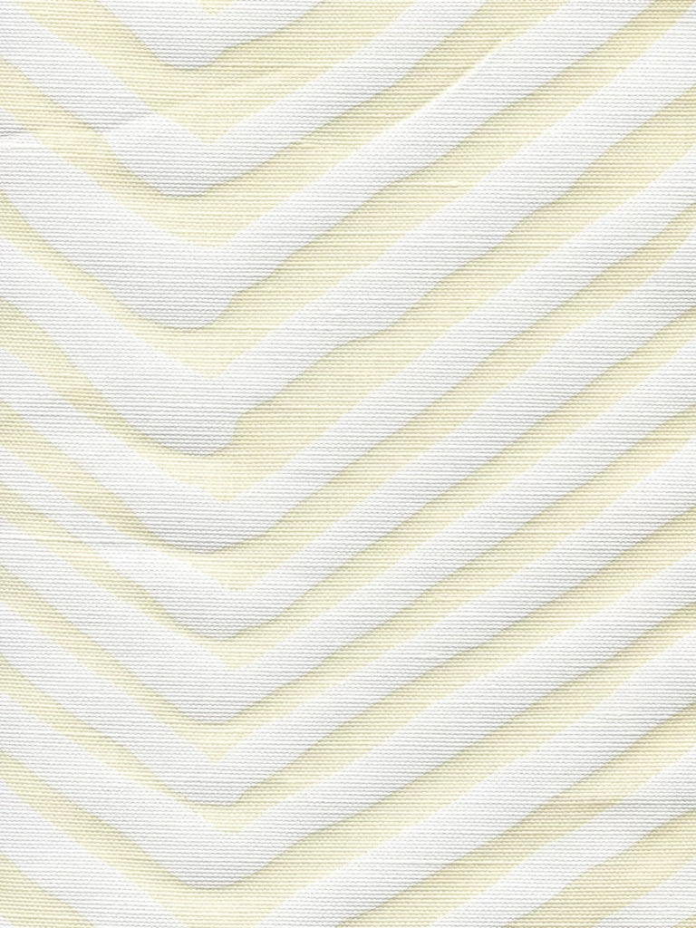 White on Tint