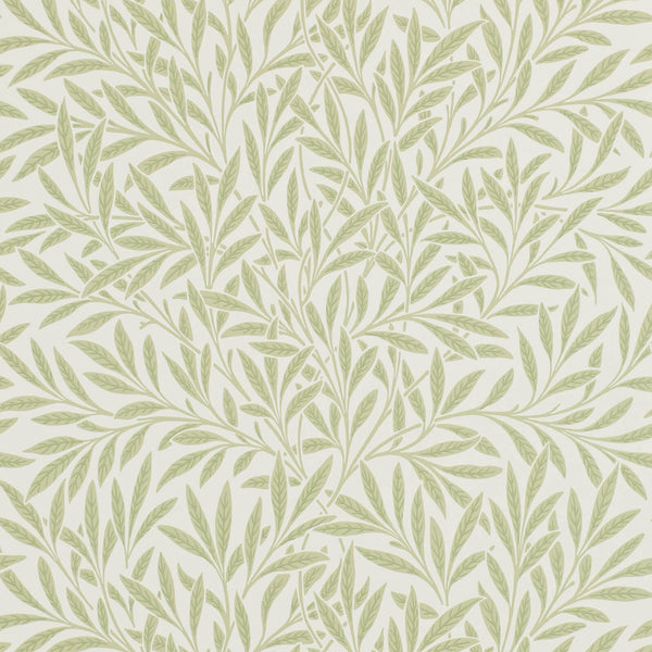 Willow Olive | Morris & Co.