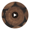 Wood Stumps - Timber Brown Circular Swatch | DW