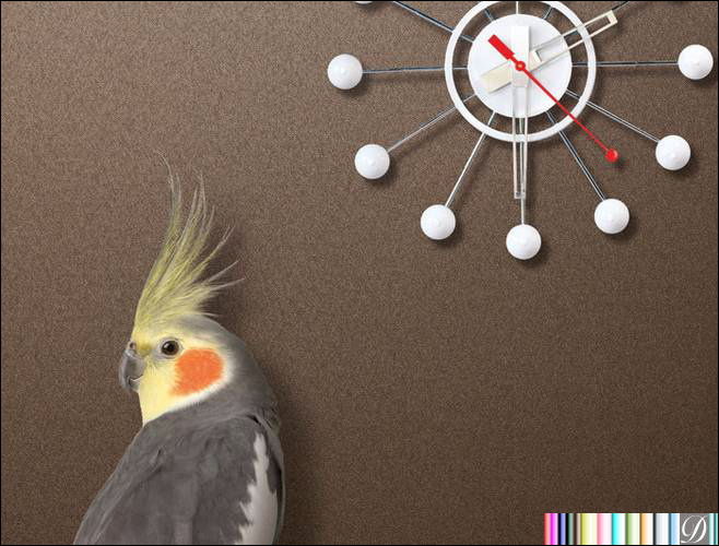 test1 | Hollywood Wallcoverings