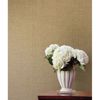 Xia Beige Grasscloth | Jeffrey Stevens - Image 3