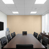 Ashbourne Type II Vinyl | Hollywood Wallcoverings