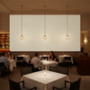 Ashbourne Type II Vinyl | Hollywood Wallcoverings
