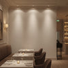 Ashbourne Type II Vinyl | Hollywood Wallcoverings