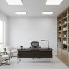 Ashbourne Type II Vinyl | Hollywood Wallcoverings