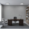 Berkeley Type II Vinyl | Hollywood Wallcoverings