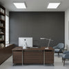 Sidmouth Acoustical | Hollywood Wallcoverings
