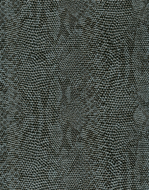 Le Embossed Python Durable Vinyl | Phillipe Romano