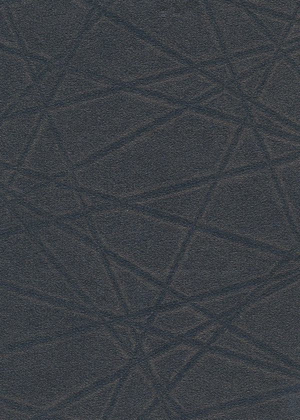 Star Gazer Geometric Durable Vinyl | Phillipe Romano